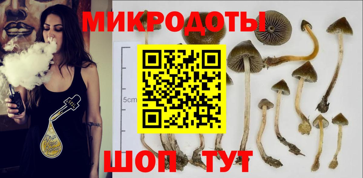 Муравленко  Псилоцибиновые грибы прущие грибы  Вход с VPN  Псилоцибиновые грибы мухоморы 